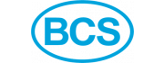 BCS